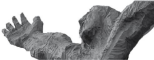cropped-statua.jpg