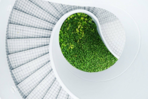 cropped-plant-white-leaf-spiral-staircase-spiral-staircase-123911-pxhere-com-1-1.jpg